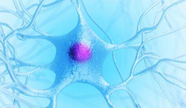 Gene therapy promotes nerve regeneration